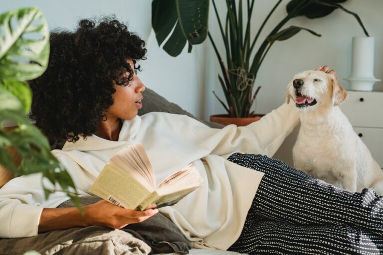 5 Livros para oferecer como presente de Natal