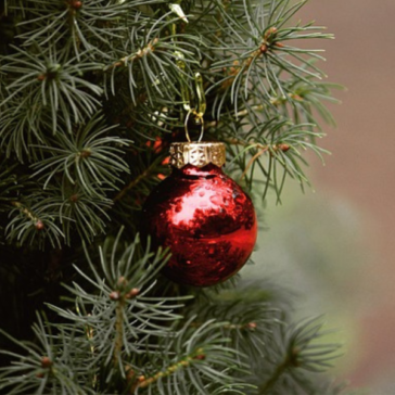 bolas de natal